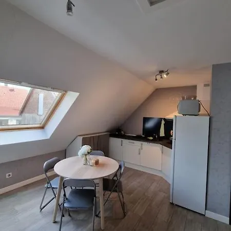 Apartman De La Demi Lune *