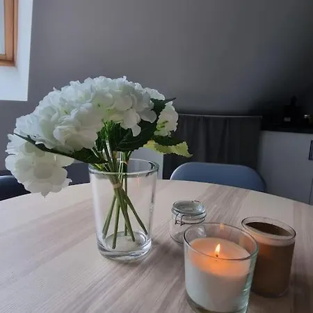 De La Demi Lune Apartman Plobsheim